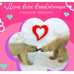 Акцию «Счастливый билет для влюбленных» проведет зоопарк «Лимпопо» 14 февраля